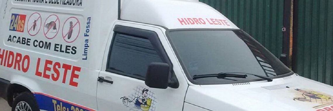 Hidroleste Desentupidora